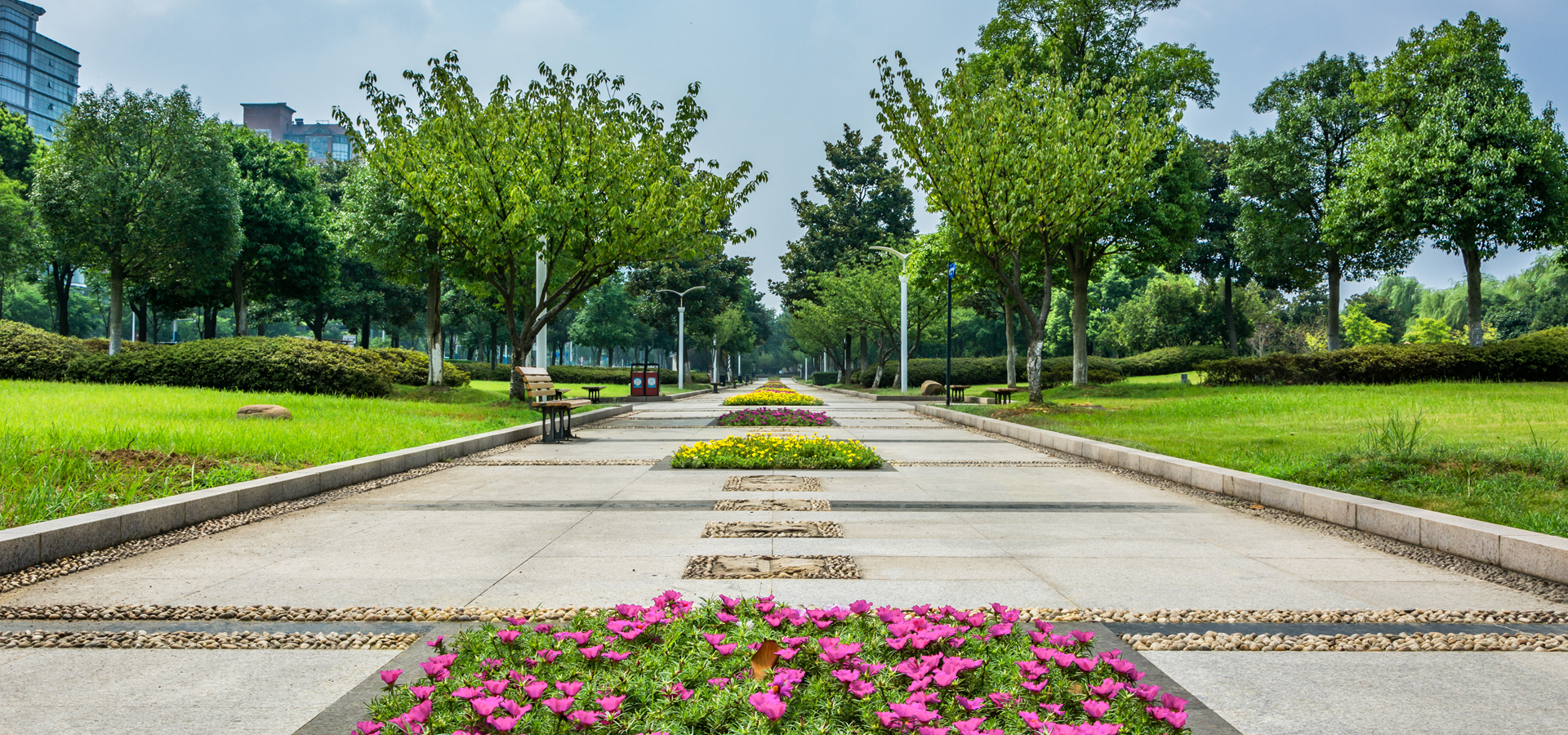 Grow Landscape